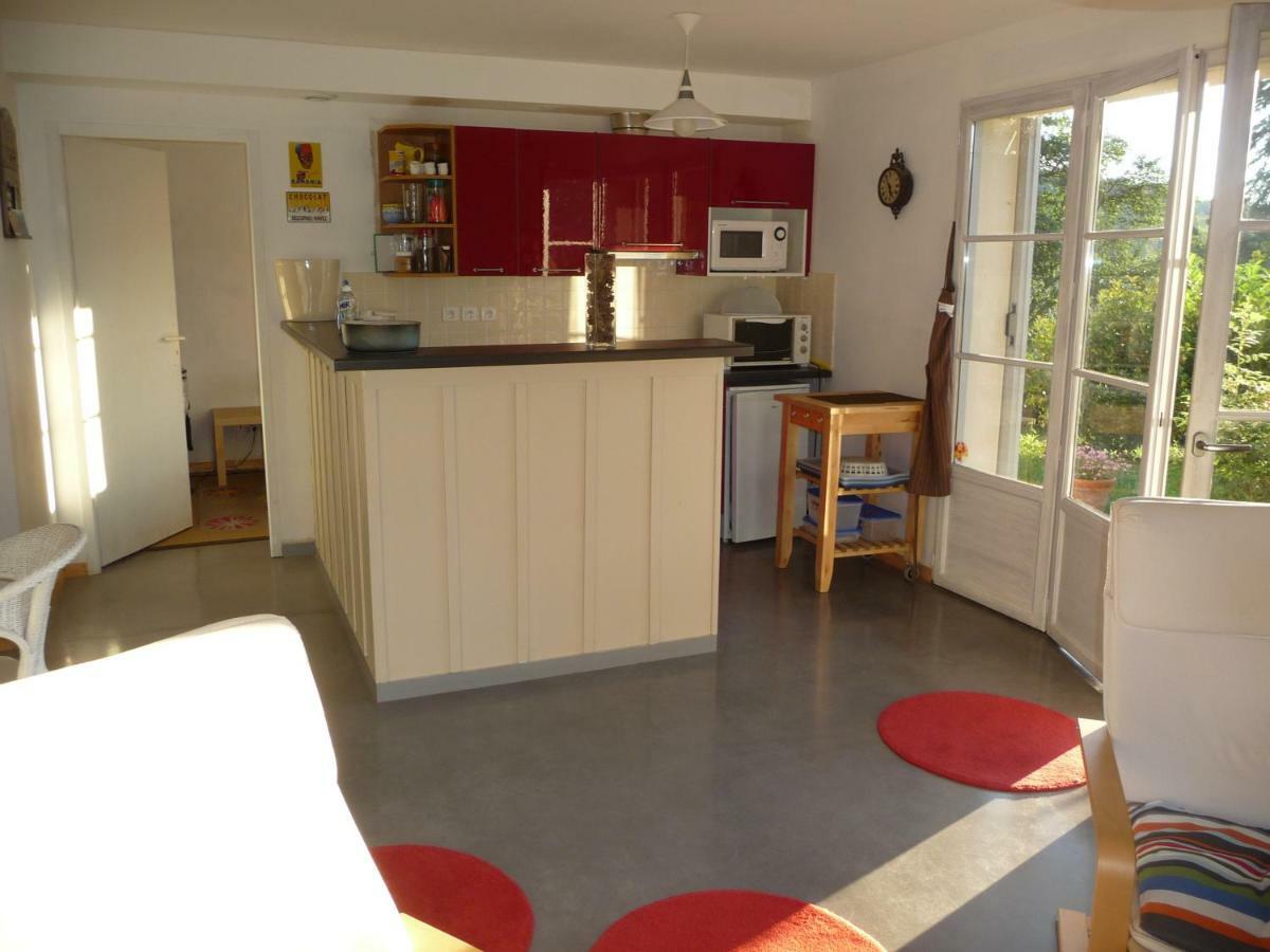 Splendide Vue Pyrenees, Rez De Jardin 2 Chambres Montjoie-en-Couserans Екстер'єр фото