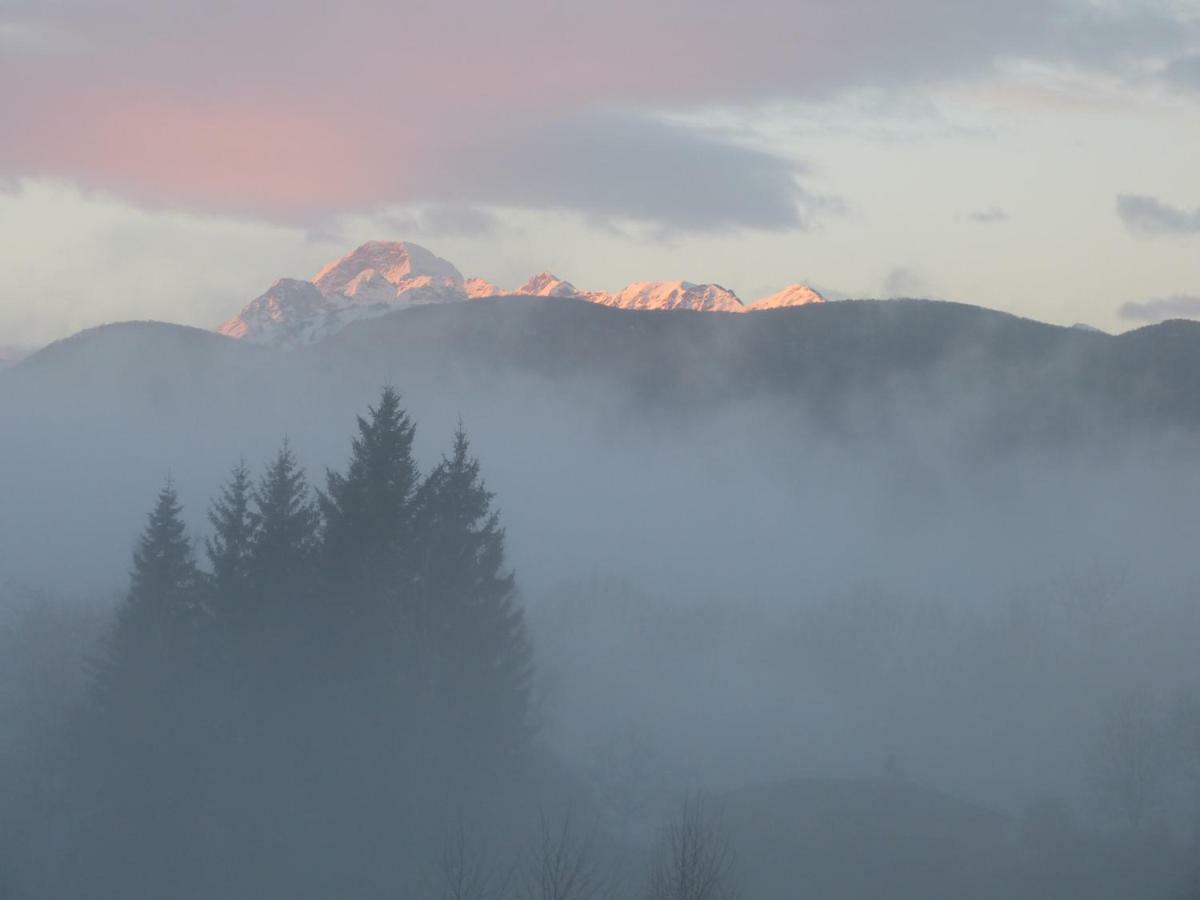 Splendide Vue Pyrenees, Rez De Jardin 2 Chambres Montjoie-en-Couserans Екстер'єр фото