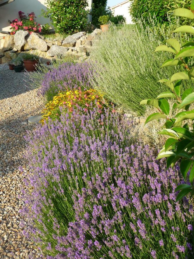 Splendide Vue Pyrenees, Rez De Jardin 2 Chambres Montjoie-en-Couserans Екстер'єр фото